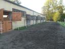 stadnina.thumbnail Niedzielny Spacer