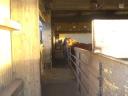 stadnina1.thumbnail Niedzielny Spacer