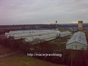 20090128066 20090128066 300x225 Delegacje