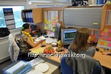 Księgowość na hawajach, ale w pracy, arbuzy i winogrona też w pracy ;)