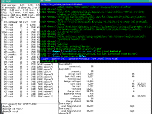 TWM 800x600 NetBSD/Aspire1