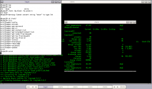 Fluxbox 1024x600 NetBSD/Aspire One