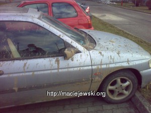 Błoto wszędzie, nawet na dachu.
